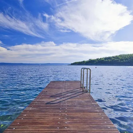 Stunning Brac 5 Bedrooms Brac 5 Metres To The Private Swimming Pool Selca (Brac)