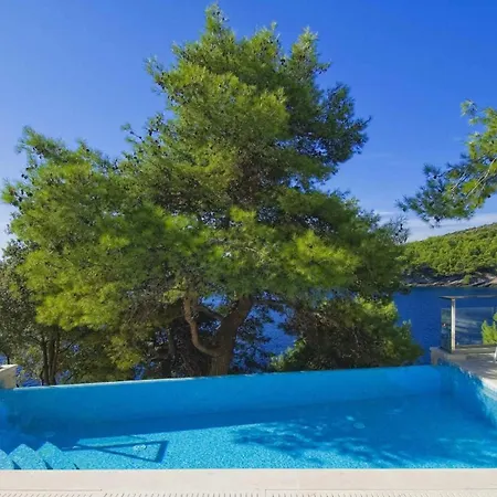 Stunning Brac 5 Bedrooms Brac 5 Metres To The Private Swimming Pool Willa Selca (Brac)