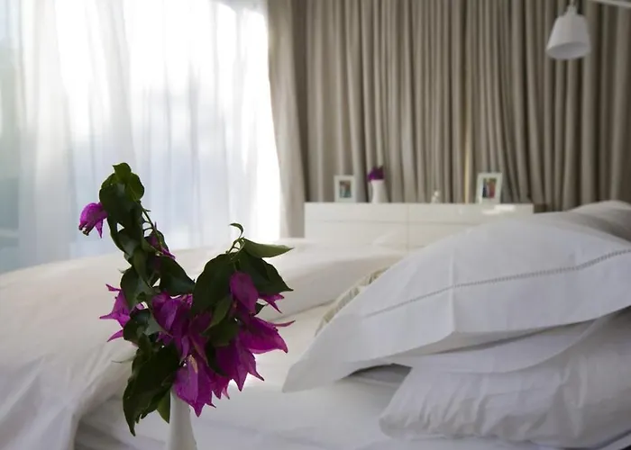 Stunning Brac 5 Bedrooms Brac 5 Metres To The Villa *